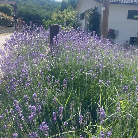 Appartamento Bilocale Per Gli Amanti Dello Sci